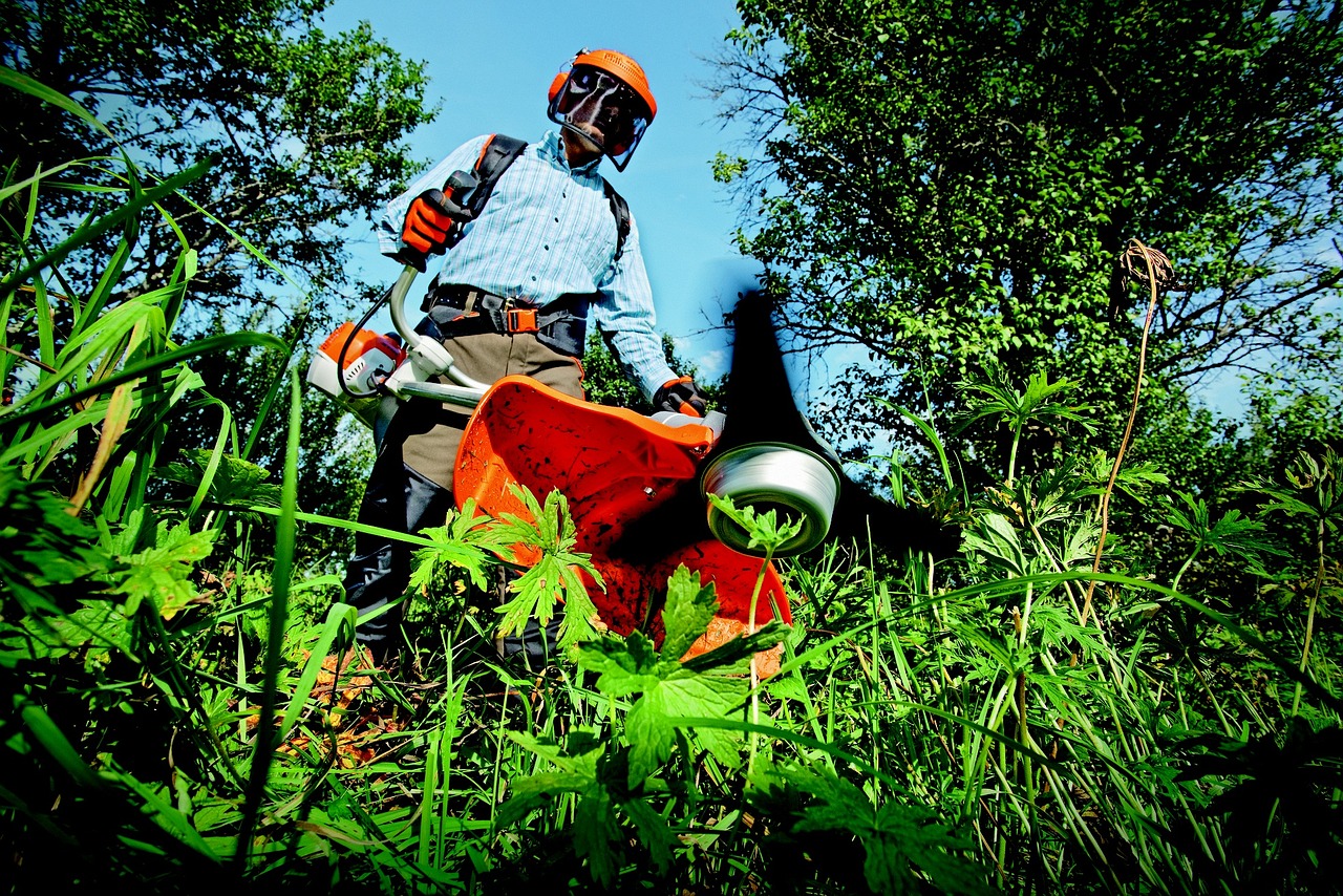 garden, grass cutter, gardening, grass, man, outdoors, nature, person, tools, gardener, green grass